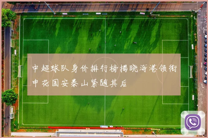 中超球队身价排行榜揭晓海港领衔申花国安泰山紧随其后