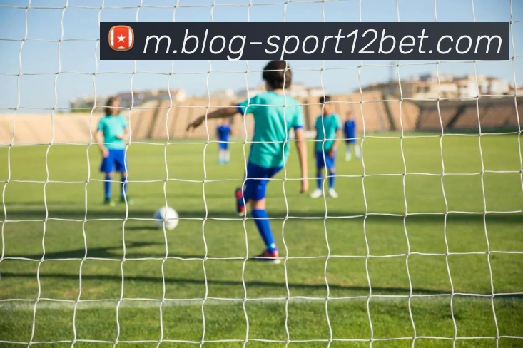 12bet平台生态图